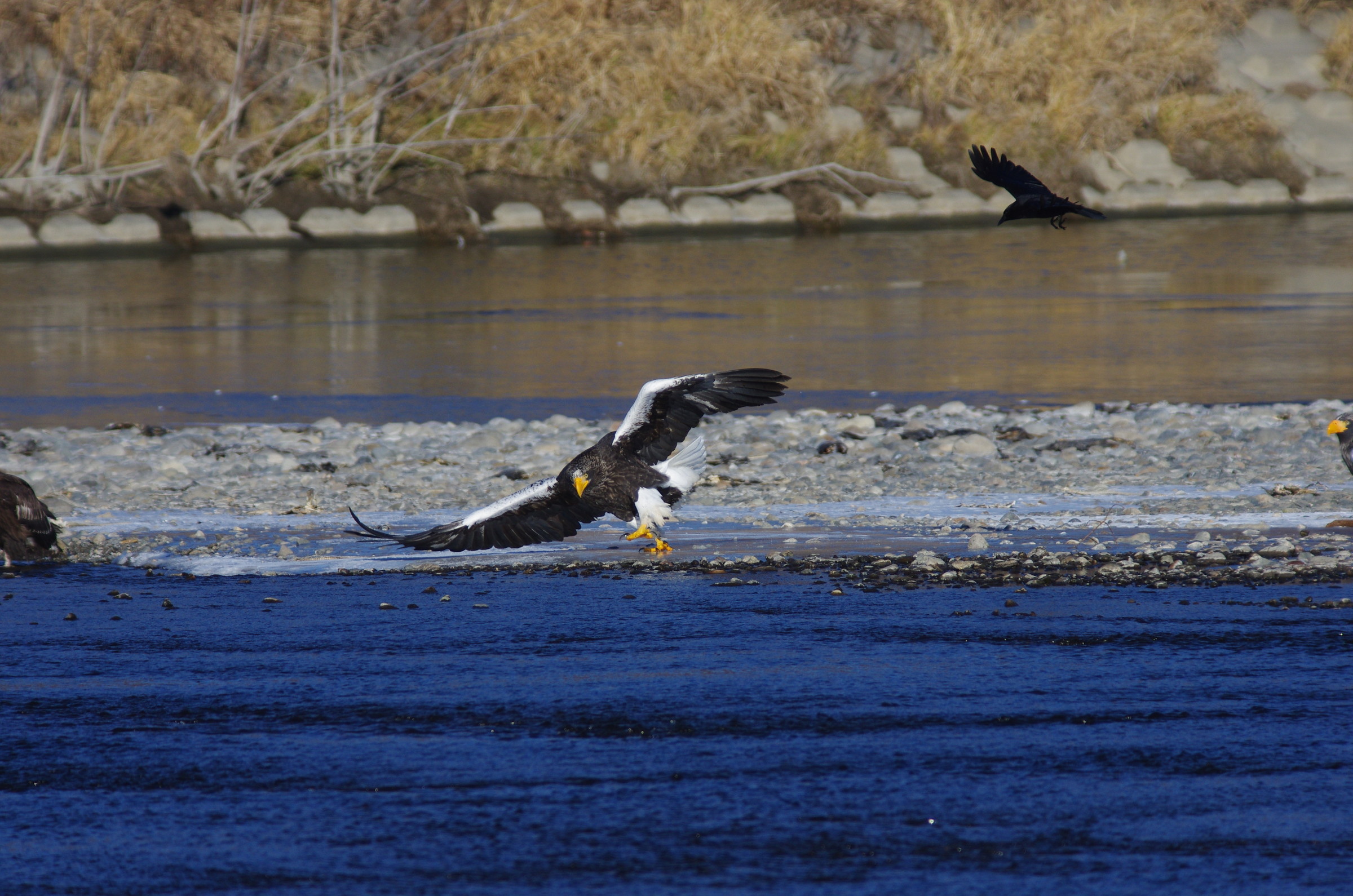 AF90FL500D_20141209_2784
