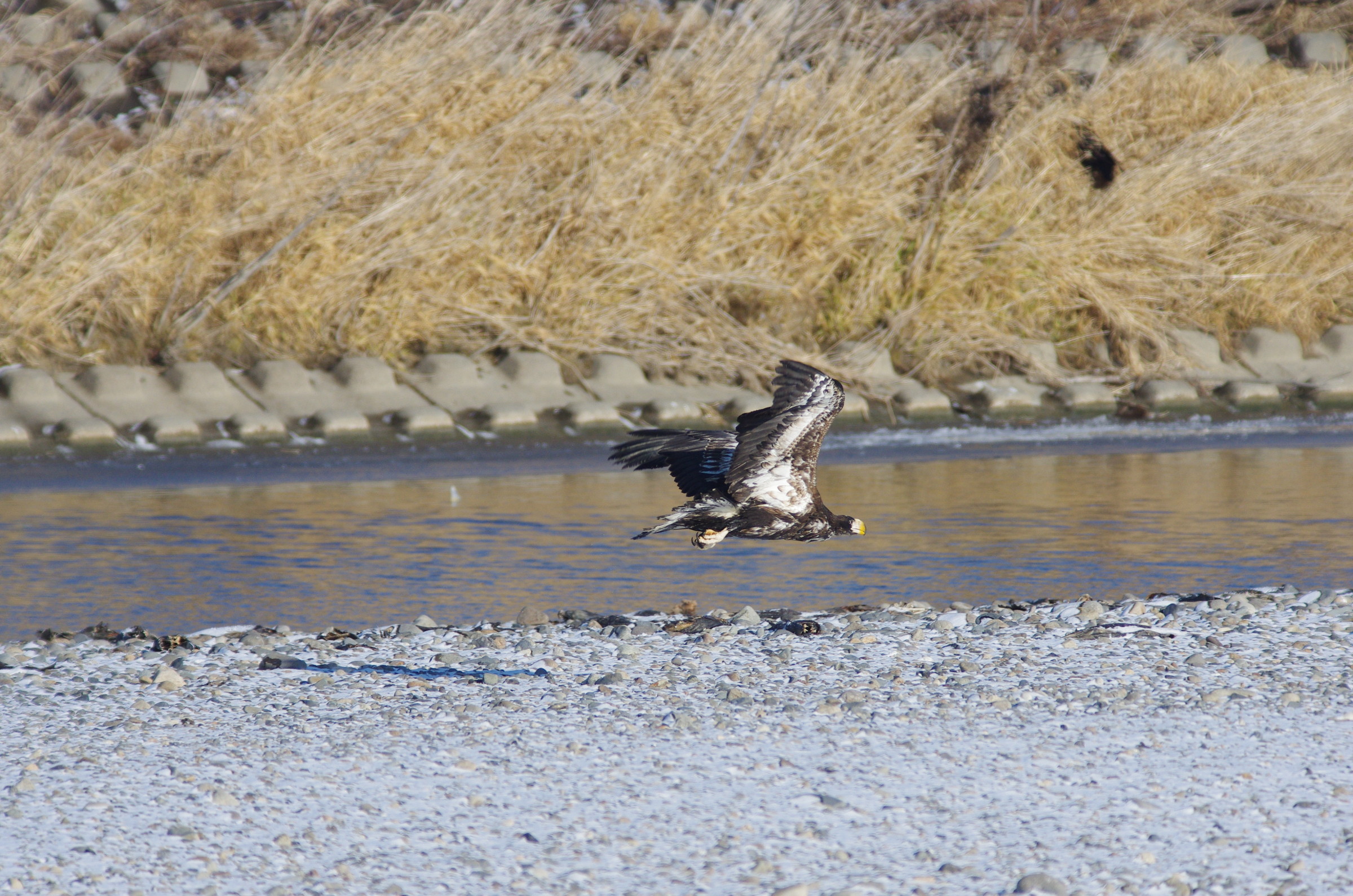AF90FL500D_20141212_4668
