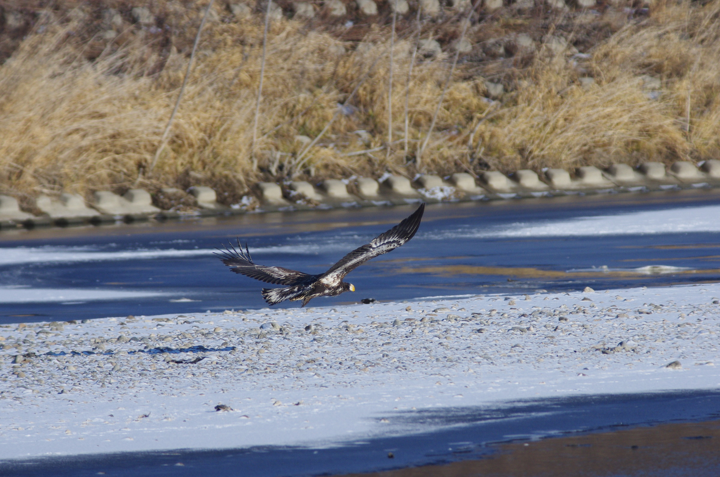 AF90FL500D_20141212_4680