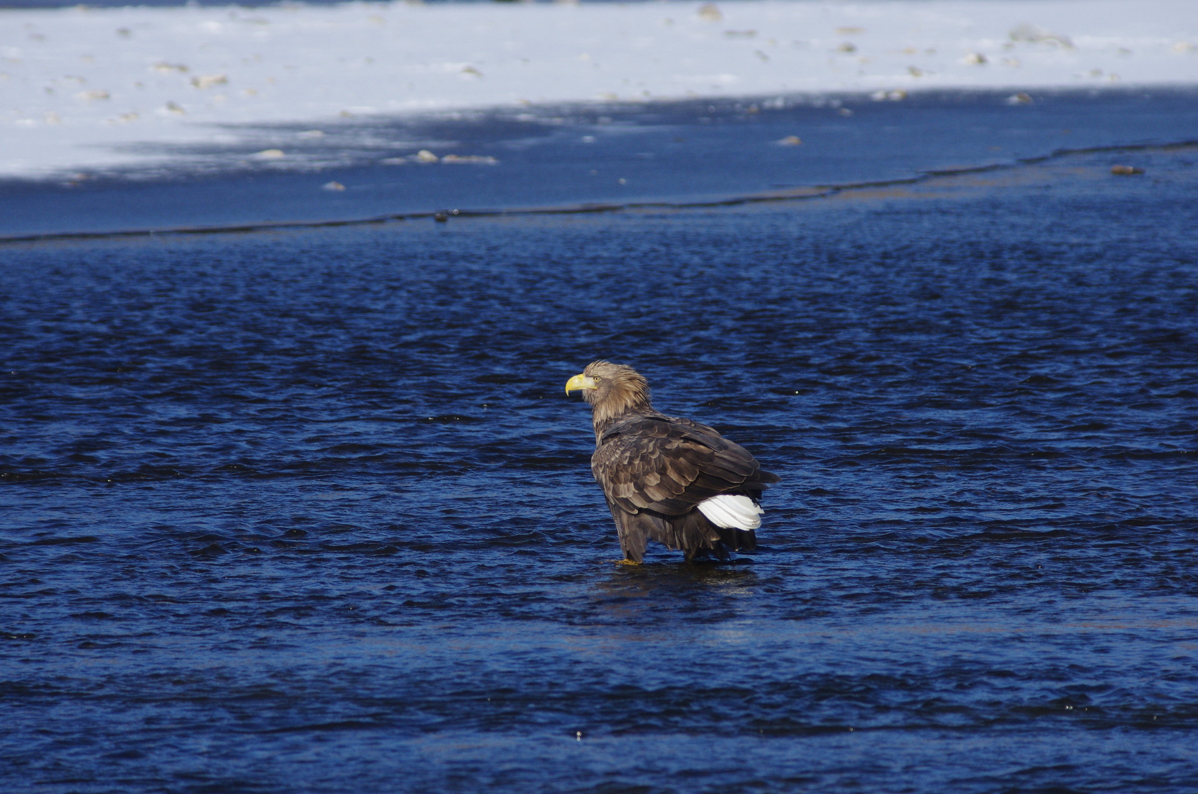 AF90FL500D_20141212_5040